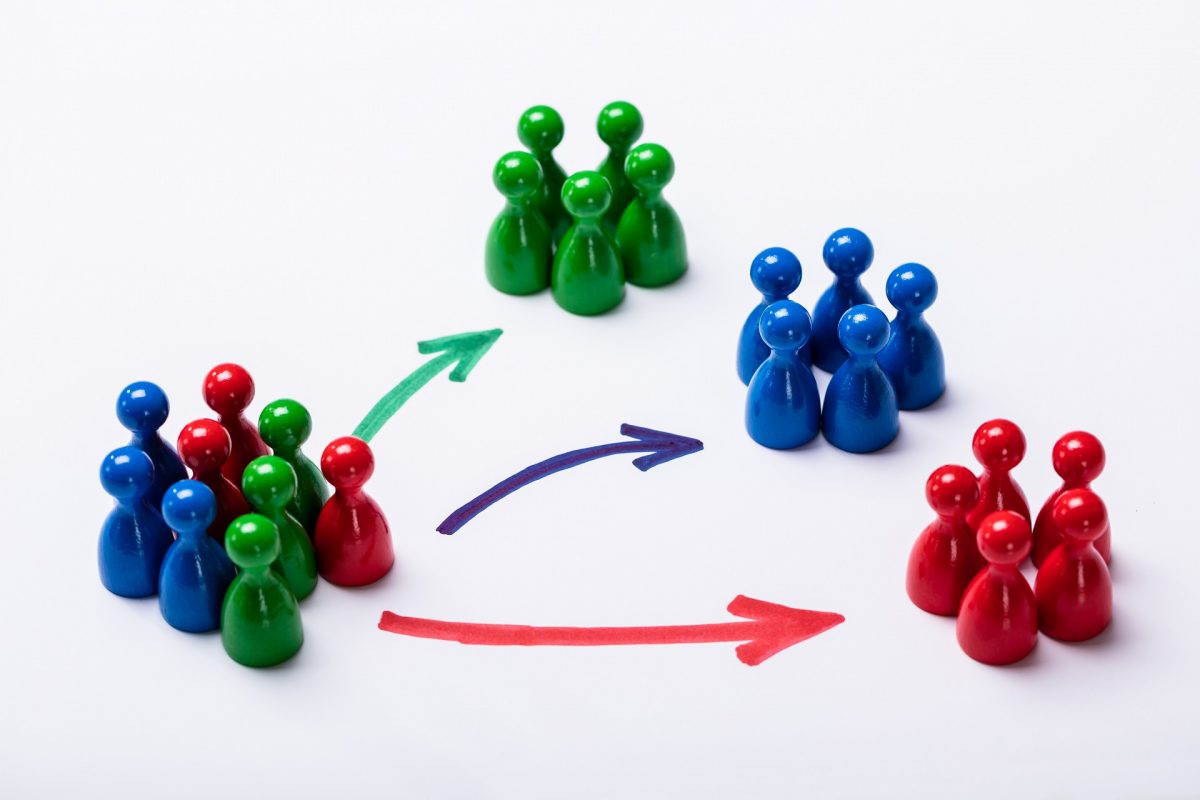 segmentation